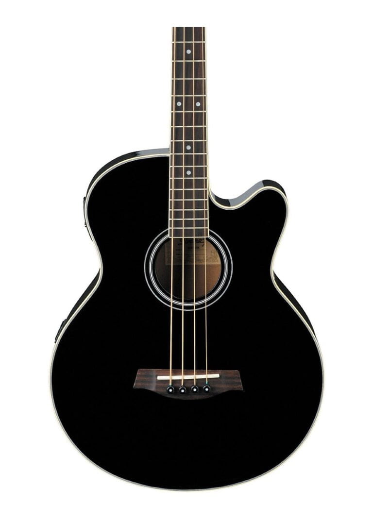 Ibanez AEB5E AcousticElectric Bass Black Music Head Store