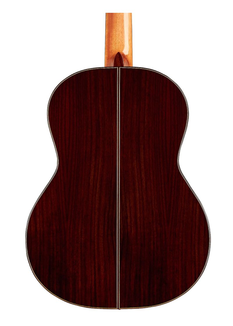 cordoba c7 sp nylon string classical acoustic guitar Guitarra clásica Cordoba C7 SP vista posterior