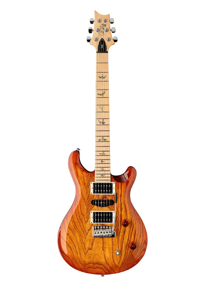 Guitarra eléctrica PRS SE Swamp Ash Special vista frontal