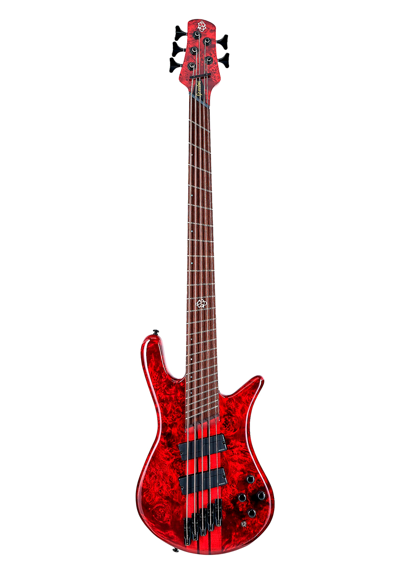 spector ns dimension 5 5 string electric bass