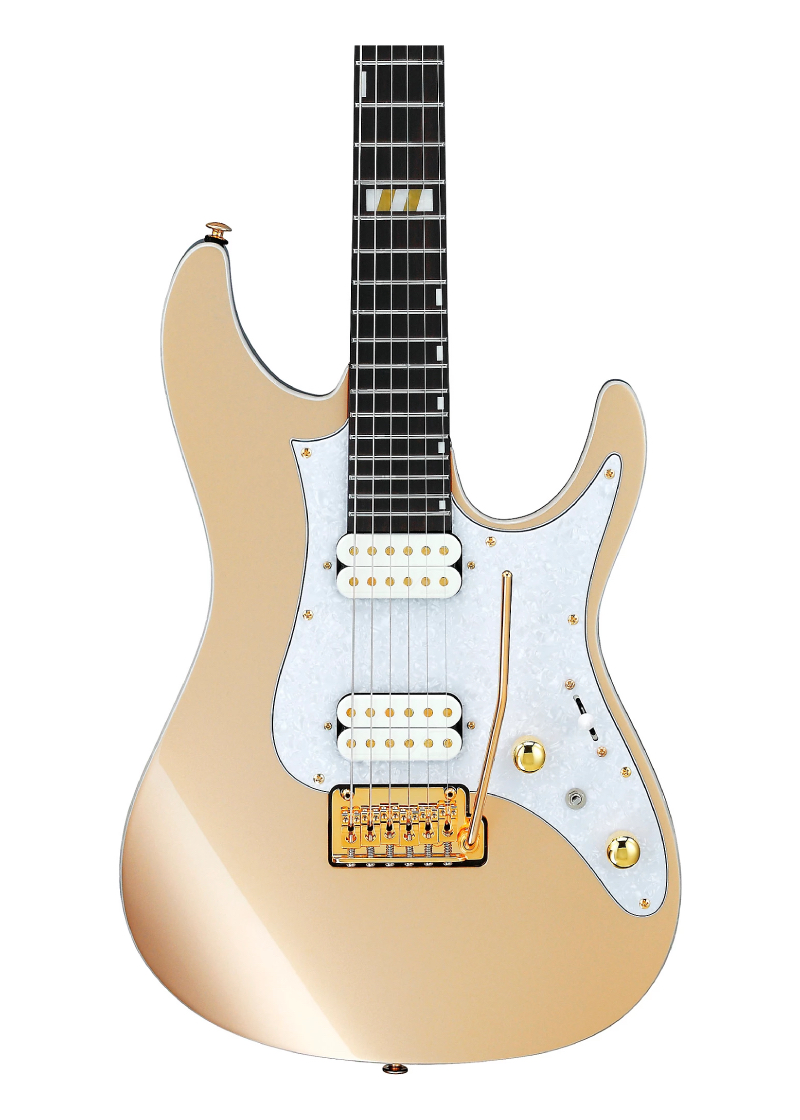 ibanez scott lepage signature electric guitar Guitarra eléctrica Ibanez Scott LePage Signature detalle del cuerpo