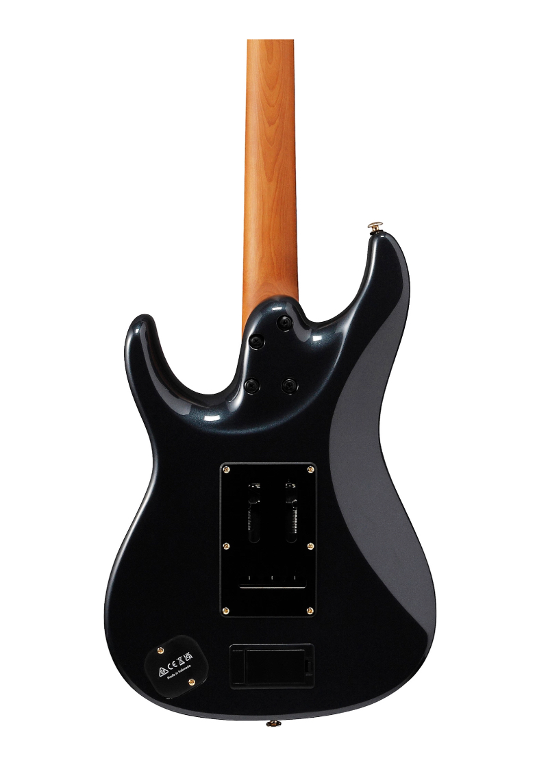 ibanez scott lepage signature electric guitar Guitarra eléctrica Ibanez Scott LePage Signature vista posterior