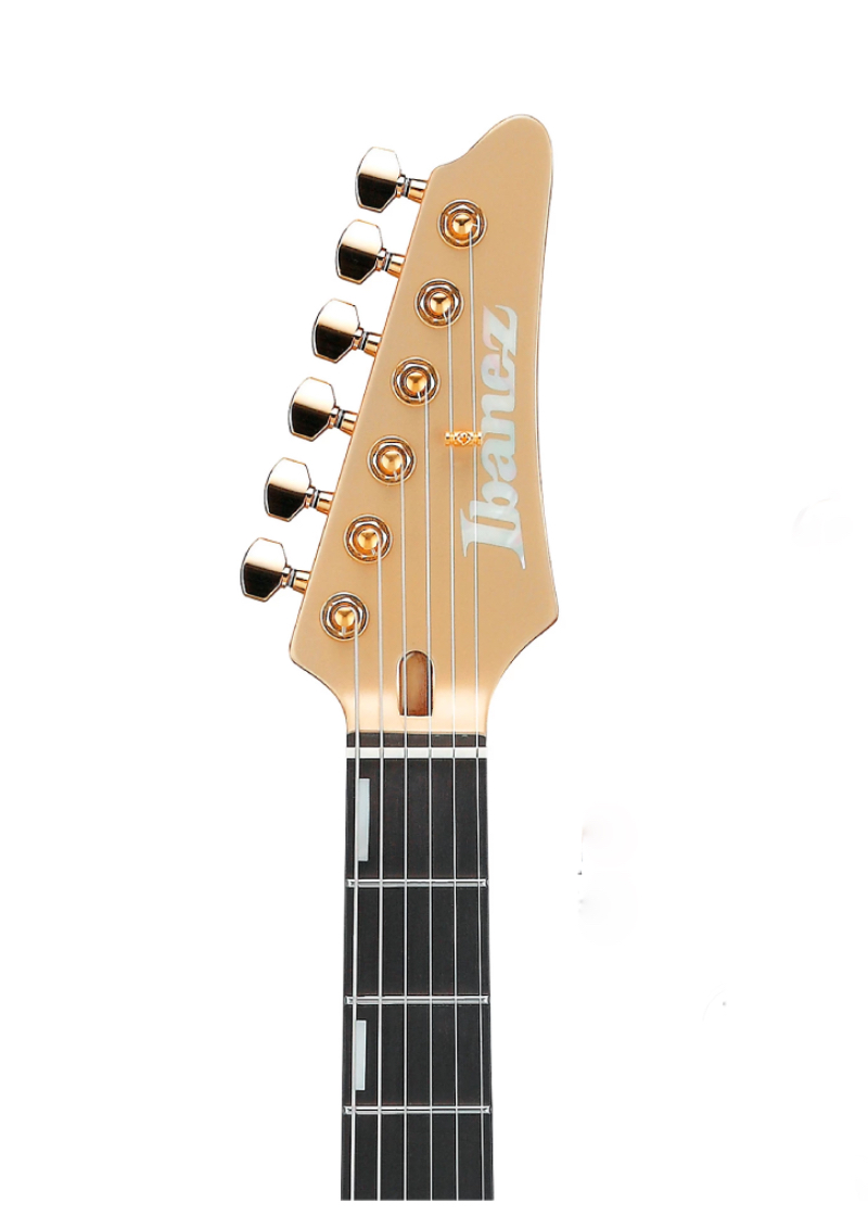 ibanez scott lepage signature electric guitar Guitarra eléctrica Ibanez Scott LePage Signature detalle del diapasón