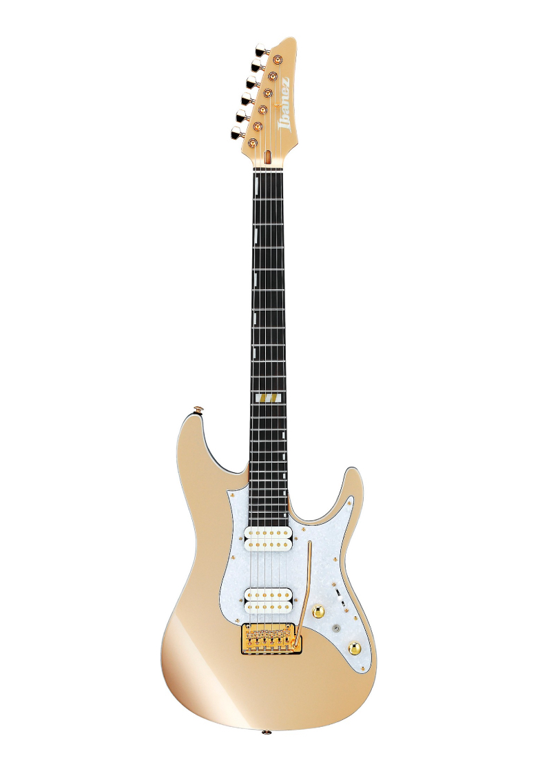 Guitarra eléctrica Ibanez Scott LePage Signature vista frontal
