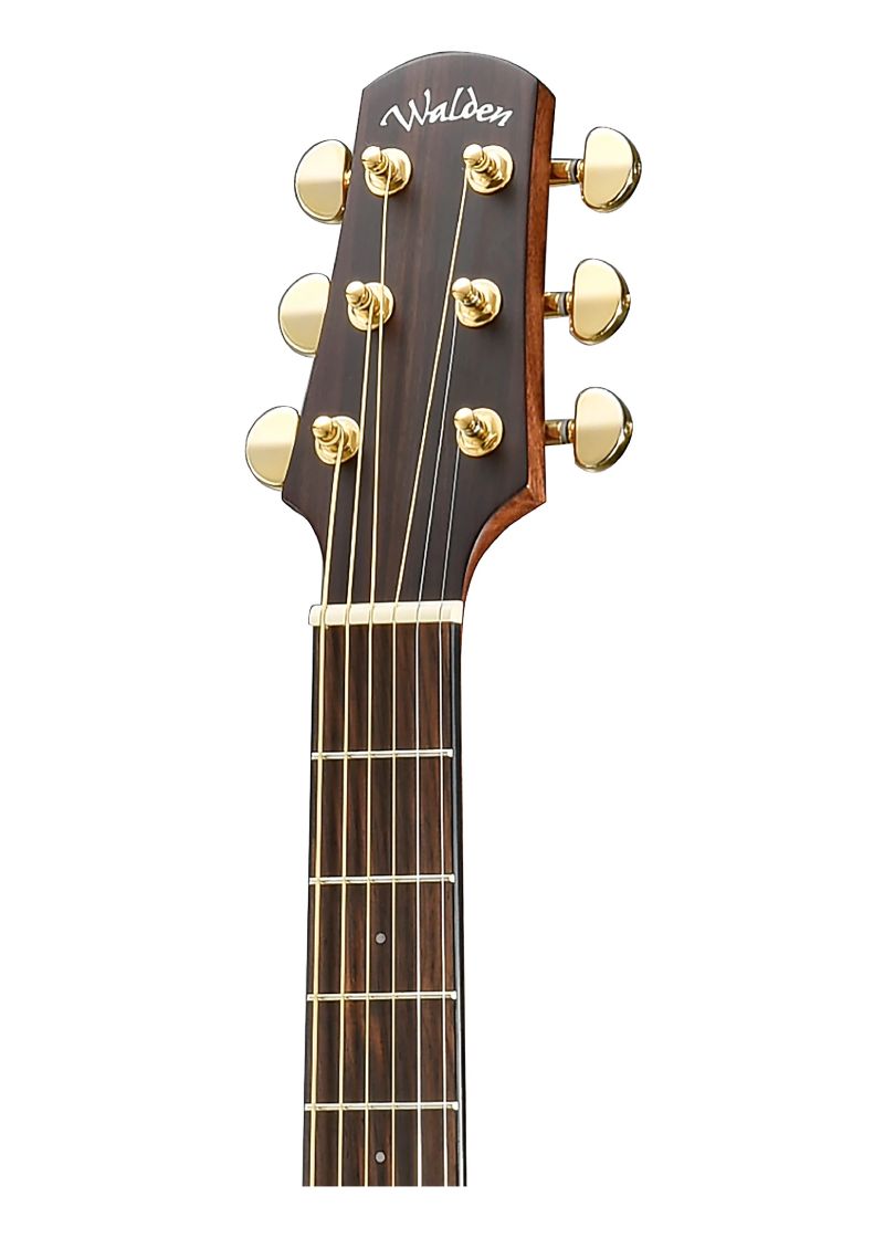 walden natura solid sitka top/rosewood dreadought acoustic cutaway electric satin natural Guitarra electroacústica Walden Natura Solid Sitka Top Rosewood detalle del diapasón