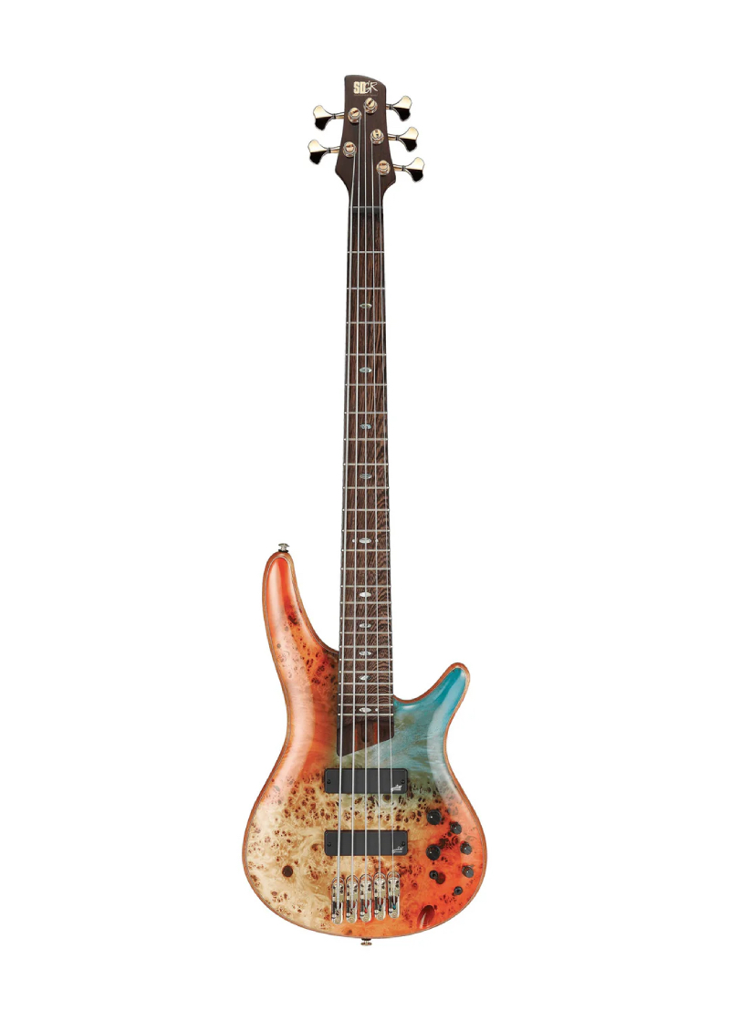 ibanez premium sr1605dw 5 string electric bass guitar autumn sunset sky