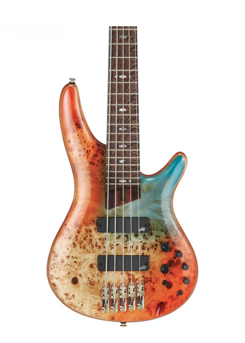 ibanez premium sr1605dw 5 string electric bass guitar autumn sunset sky Bajo eléctrico Ibanez SR1605DW detalle del cuerpo Poplar Burl Autumn Sunset Sky