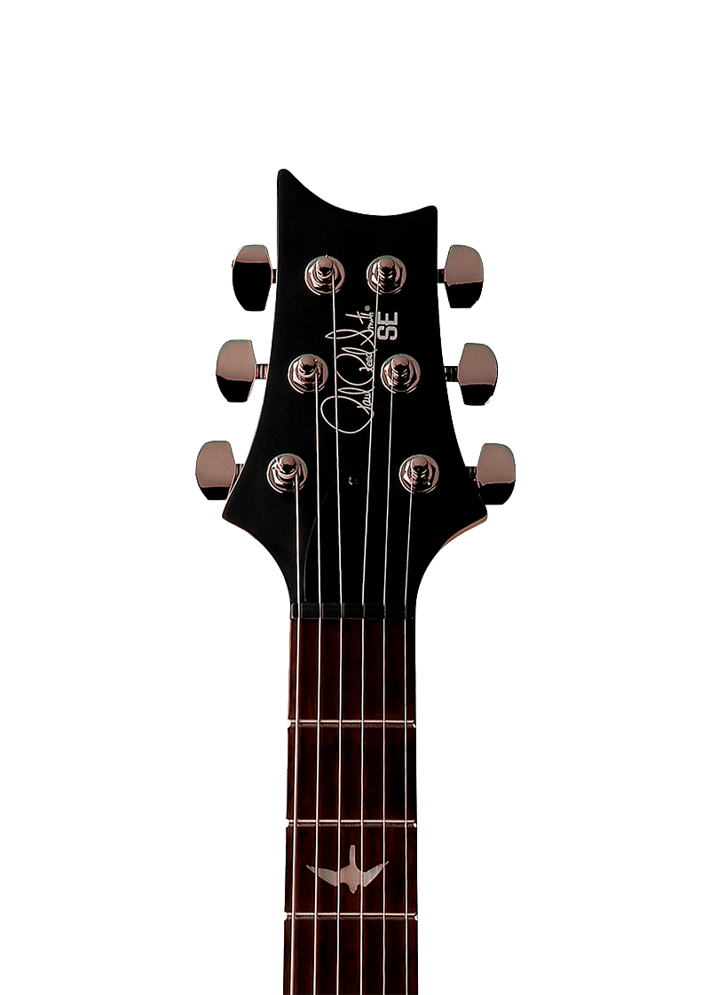 prs se swamp ash ce 24 sandblasted ltd electric guitar Guitarra eléctrica PRS SE Swamp Ash CE 24 detalle del diapasón