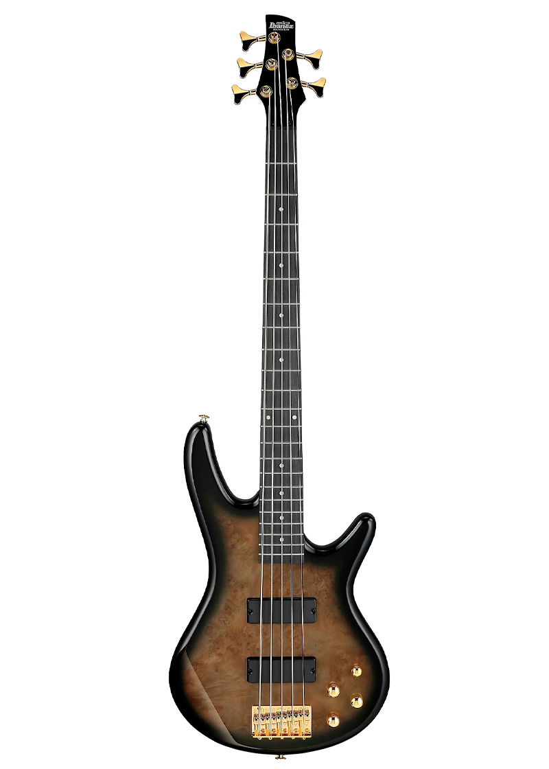ibanez gsr205pc 5 string electric bass guitar