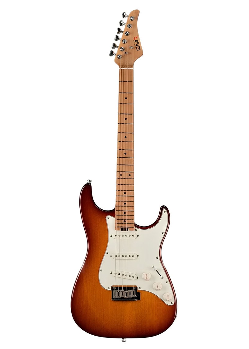 Guitarra eléctrica EART NK-VS60 vista frontal