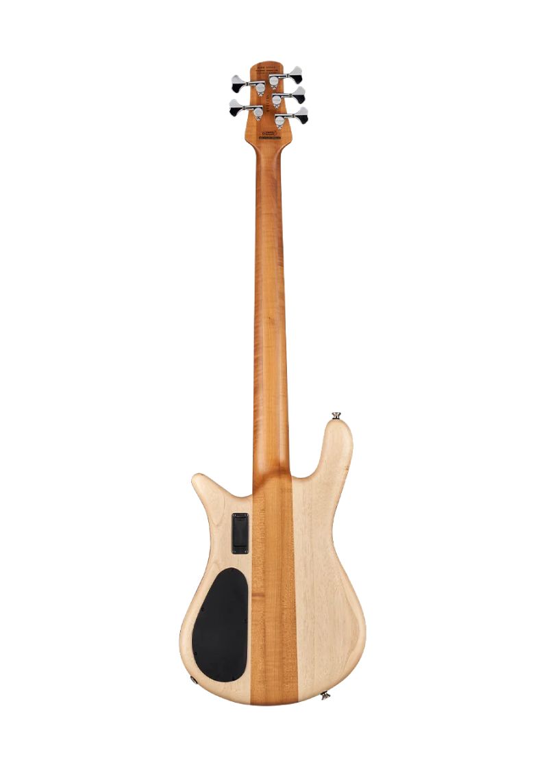 spector euro 5 rst zebrawood electric bass Bajo eléctrico Spector Euro 5 RST Zebrawood vista posterior